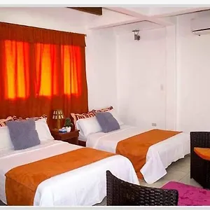 Guest house Nuevo Gala House